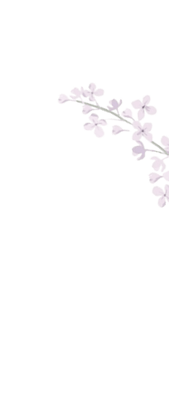 bunga tipis kanan tengah