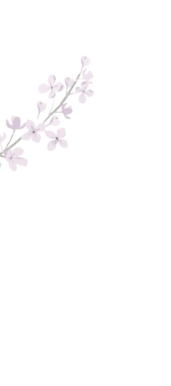 bunga tipis kiri tengah